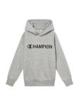 Толстовка Champion Authentic Athletic Apparel, светло-серый - фото