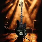 Бас-гитара Disher Rattlesnake (металлик черный) - фото 10