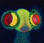 Виниловая пластинка Osees: Sorcs 80 - фото