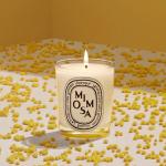 Ароматическая свеча Diptyque, 190G - фото 5