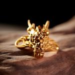 Кроссовки Аксессуар Унисекс Pentagonal Heart, золотой - фото 2