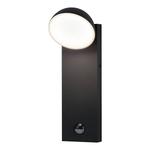 Настенный светильник Paulmann Puka mit Sensor, серый - фото