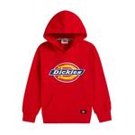 Детская толстовка Dickies, Белый - фото 3