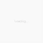 Кеды низкие Maison Margiela, белый / серый - фото