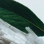 Ароматическая свеча Jo Malone London - фото 2