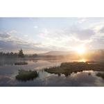 Фильтр B+W #701 MRC Basic 50% Graduated ND Filter 66-1102710 - фото 7