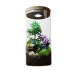 Настольное украшение Qiu Chen - фото