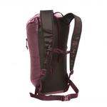 Dragonfly Pack 18 - альпинистский рюкзак Blue Ice, Tapestry - фото 2