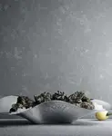 Устричный поднос Indulgence Georg Jensen, silver - фото 2