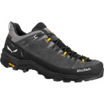 Мужские кроссовки Alp Trainer 2 GTX Salewa, серый - фото