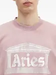 Толстовка с принтом Aries, розовый - фото 5