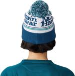 Шапка Mountain Hardwear, Dark Caspian - фото 6
