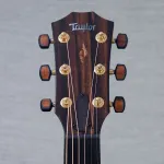 Акустическая электрогитара Taylor Limited Edition C14CE - #1205303120 - фото 3