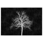 Фреска A.S. Création Blackboard, черно-белый - фото