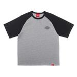 Футболка мужская Dickies, белая - фото 2