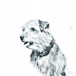 Норфолк-терьер Складное карманное зеркальце Inna Marka - фото 2