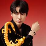 Stylejing Розовый хрустальный браслет, унисекс - фото 13