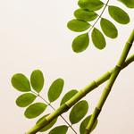 Скраб для лица Rituals, 75 мл - фото 4