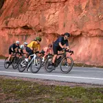 Велокомпьютер Edge 1050 Garmin, Black - фото 9