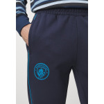 Брюки MANCHESTER CITY CASUALS PANTS Puma, синий - фото