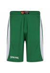 Спортивные шорты Spalding JAM BASKETBALL, Green White/Green - фото