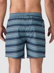 Шорты Patagonia Hydropeak Volley - 16 In. Shorts, twinnie stripe/still blue - фото 2