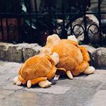 Плюшевая игрушка TRUDI, Baby turtle - фото 10