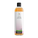 Луковый шампунь 1 шт Armonia - фото