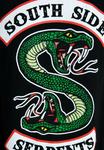 Футболка с принтом SOUTH SIDE SERPENTS LOGOSHIRT, черный - фото 3