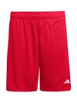 Adidas Performance Спортивные шорты Regular 'ENT26' в цвете Blood Red - фото