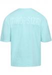 Футболка Dropsize, бирюзовый - фото