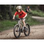 Детский велосипед Early Rider Seeker 20, матовый алюминий - фото 7