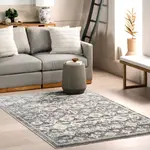 Ковер Kaylani Transitional Medallion Area Rug nuLOOM, 122x183 см, серый - фото