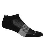 Носки Icebreaker Multisport Light Micro Merino, черный - фото