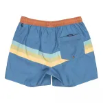 Шорты для плавания Quiksilver Everyday Straight Volley 15´´, синий - фото 4