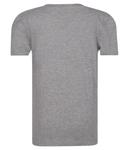 Футболки 2 шт. Regular fit Calvin Klein Jeans, серый - фото 4