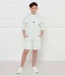 Шорты Regular fit Tommy Hilfiger, зеленый - фото 2