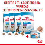 Pack 12 Стартовый мусс Royal Canin 195 ГР Royal Canin - фото 7