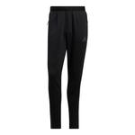 Спортивные брюки adidas C.rdy Trg Pnt Logo H17604 - фото