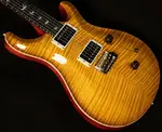 PRS Guitars Custom 24 - топ 10 - фото 5