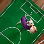 Одежда для собак и дождевики Reebok, серый - фото 4