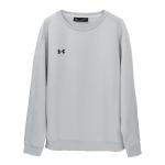 Свитшот мужской Under Armour, светло-серый - фото