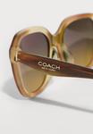 Солнцезащитные очки COACH Sunglasses, Striated Bark/Moss/Green/Grey /Green - фото 4