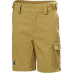 Шорты Helly Hansen HH QD Cargo Short Helly Hansen, Lynx - фото