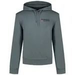 Худи Napapijri Kasba, серый - фото