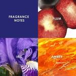 Midnight Fantasy Fine Fragrance Mist Oriental 236мл, Britney Spears - фото 2