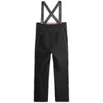 Брюки Picture Organic Aeron 3L Bib, черный - фото 2