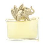 Парфюмированная вода Kenzo Jungle L'Elephant - фото