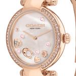 Женские часы Cary COACH - фото 3