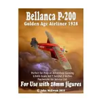 Белланка П-200, Bellanca - фото